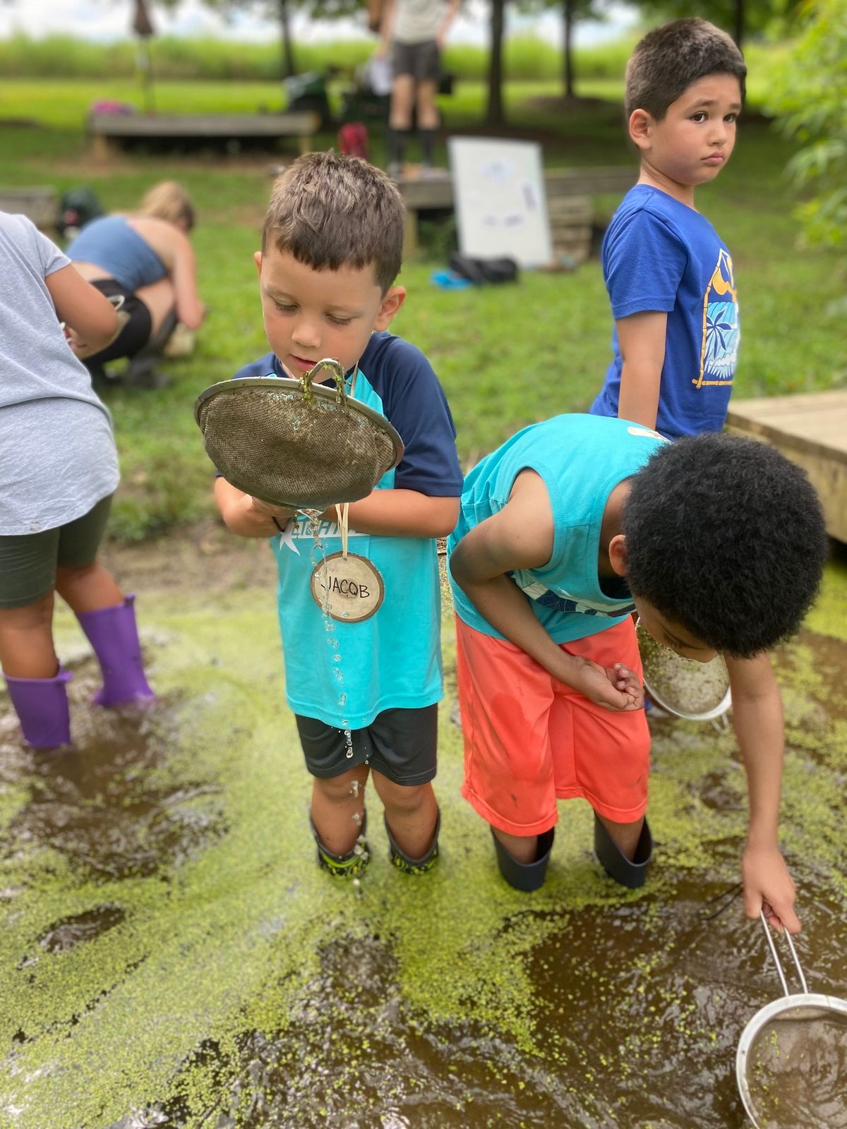 Field Experience Fridays - Little Naturalists! 