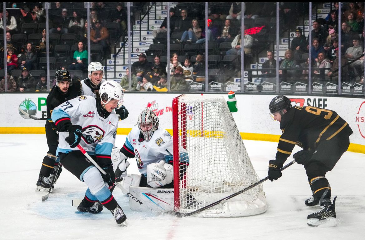 Brandon Wheat Kings at Portland Winterhawks
