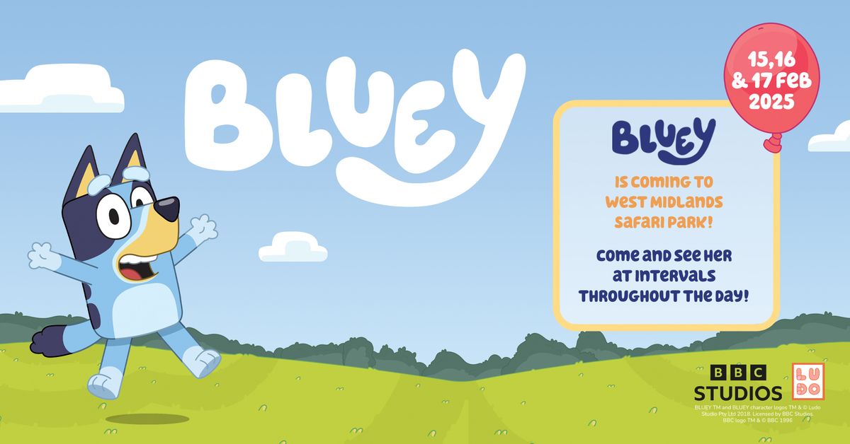 Meet & Greet Bluey at West Midlands Safari Park