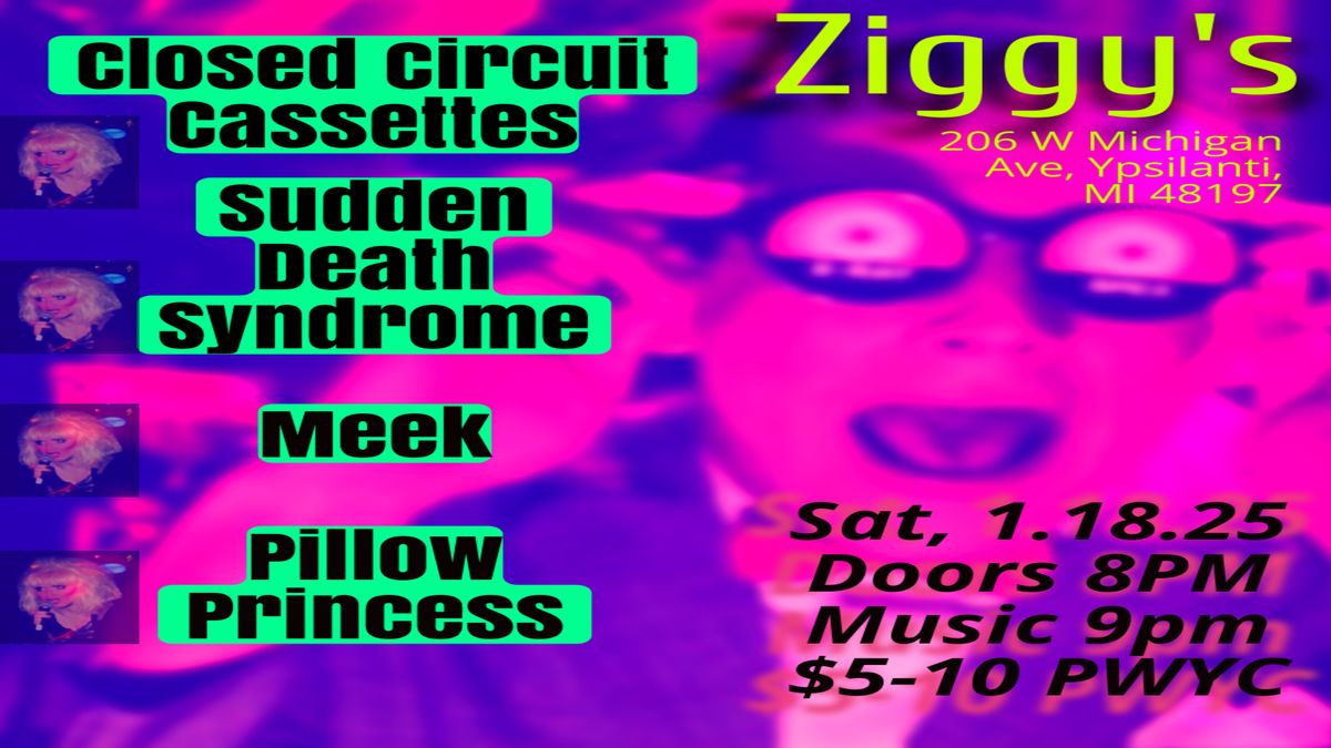 Sudden Death Syndrome, Meek, Pillow Princess, Closed Circuit Cassettes