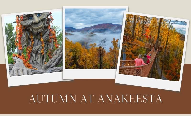 \ud83c\udf04\ud83c\udf3fAnakeesta Adventure Getaway in Gatlinburg, TN $99 Per Couple