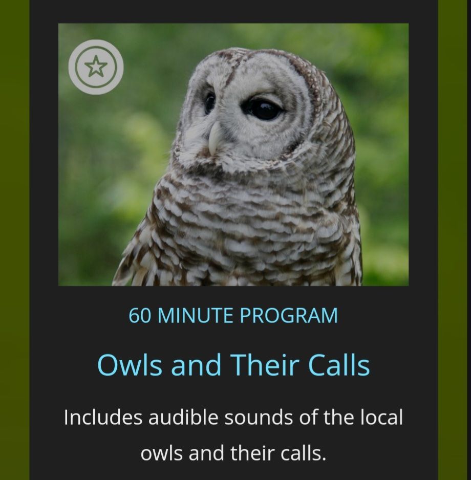  Owls and their Calls:  VINS