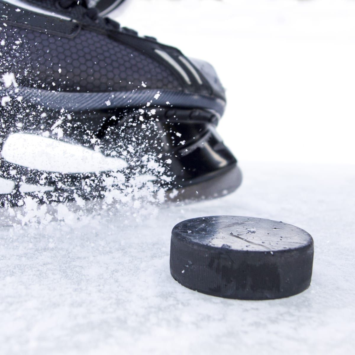 Brown University Bears Mens Hockey at Meehan Auditorium