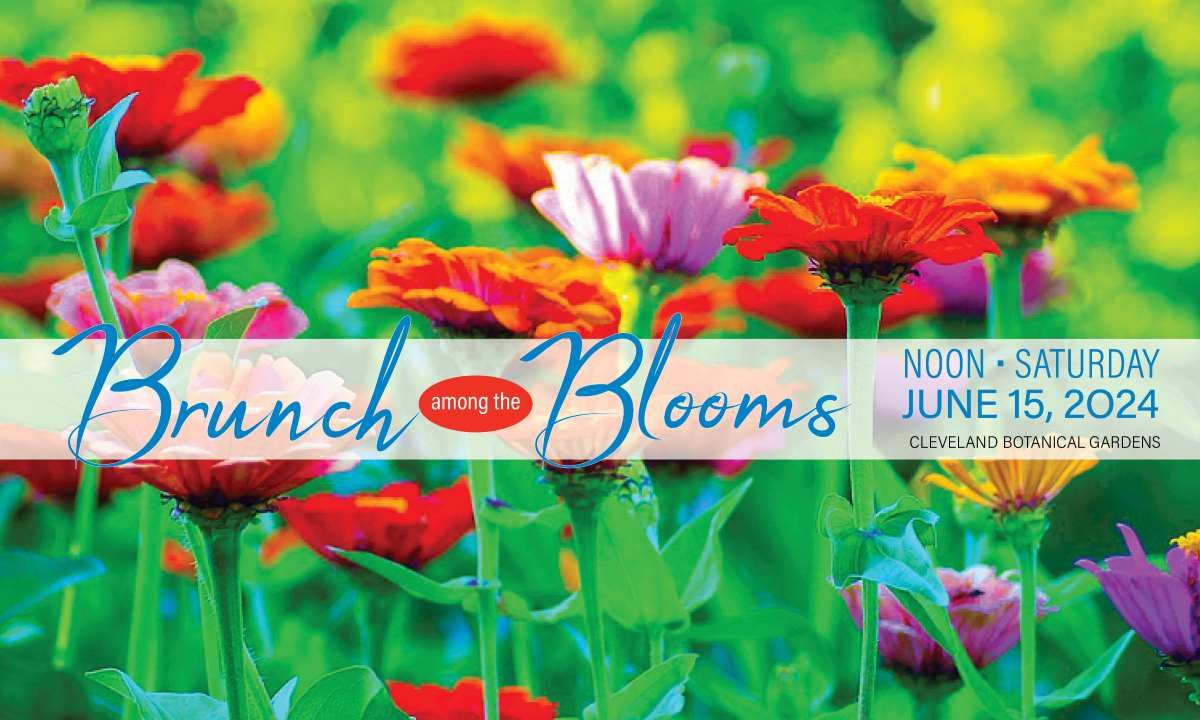 Brunch Among the Blooms