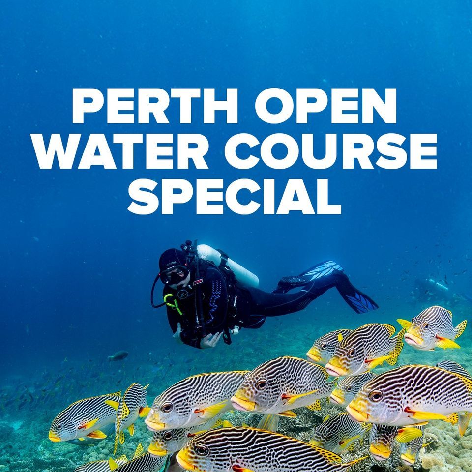 Adreno Perth - Open Water Diver Course (Winter Special)