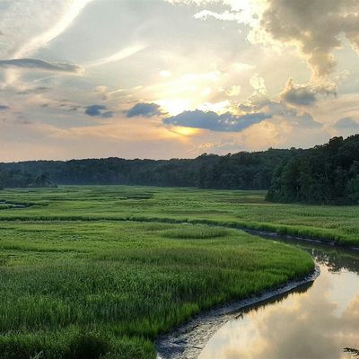 York River State Park