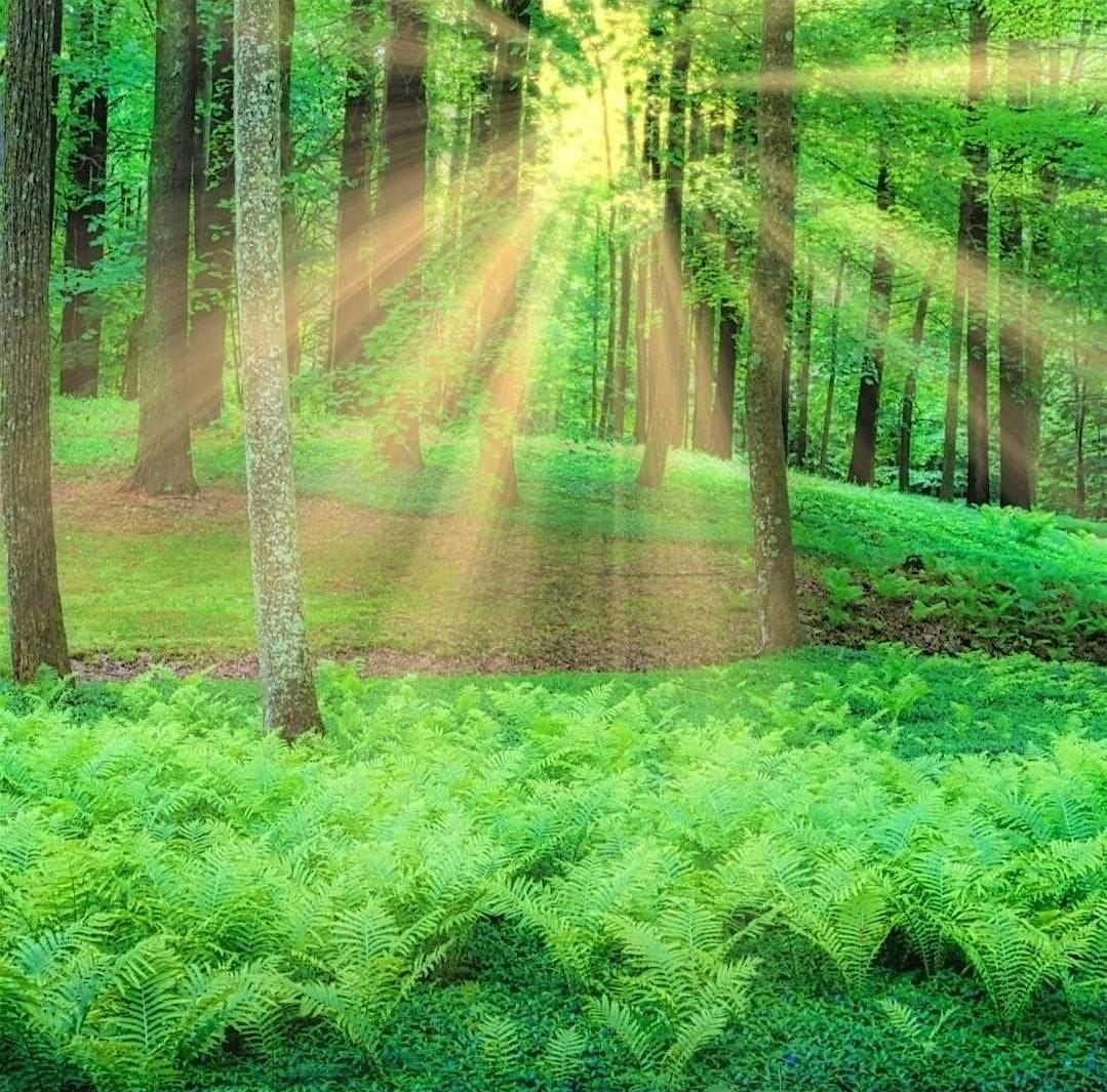 Spiritual, Not Religious Open Spiritual Discussion