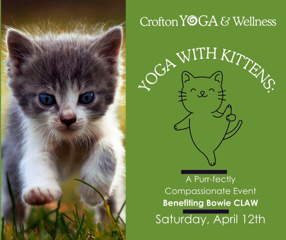 Yoga with Kittens--SOLD OUT