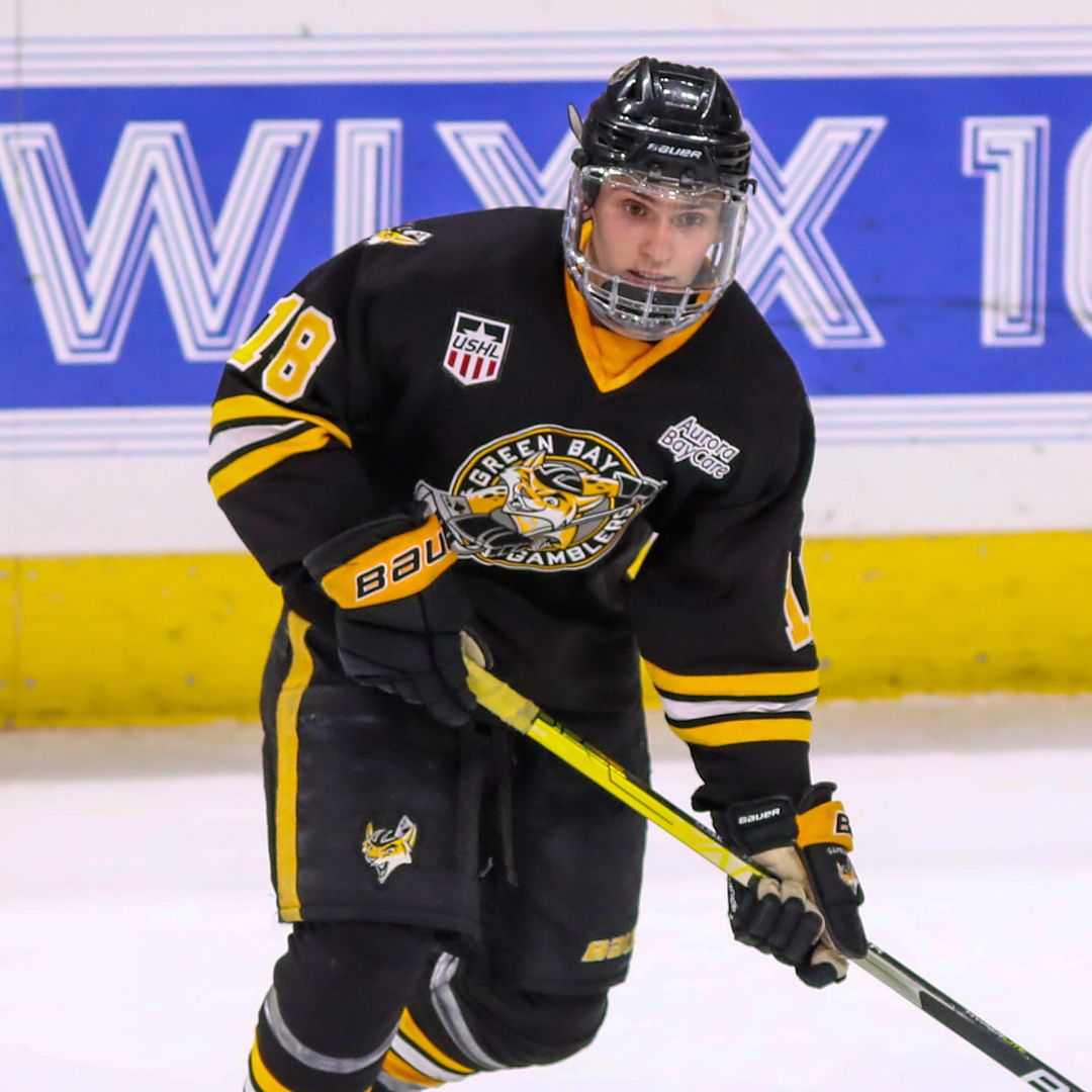 Green Bay Gamblers at Chicago Steel at Fox Valley Ice Arena