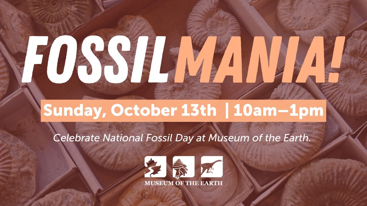 Fossil Mania at the Museum of the Earth