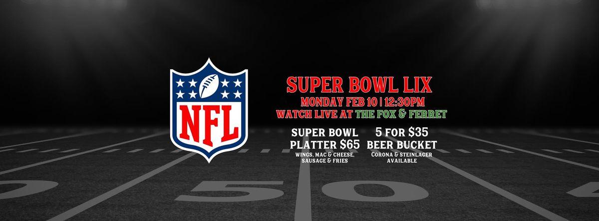 SUPER BOWL LIX | Watch Live at the Fox