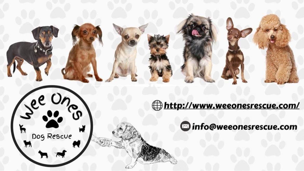 Wee Ones Dog Rescue 3rd Annual Craft Fair