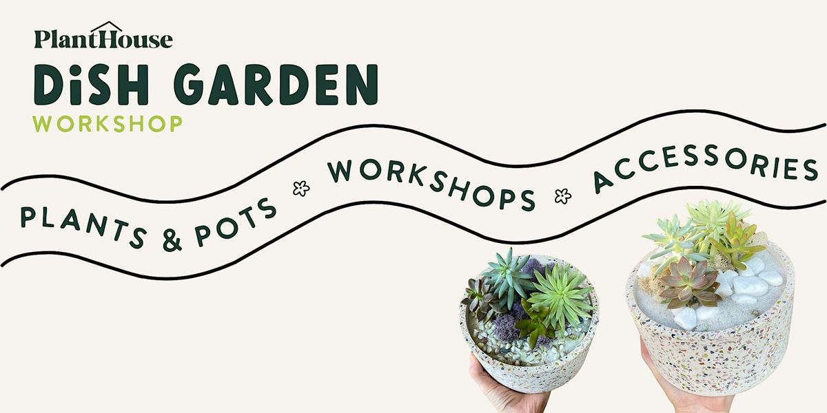 Dish Garden Workshop