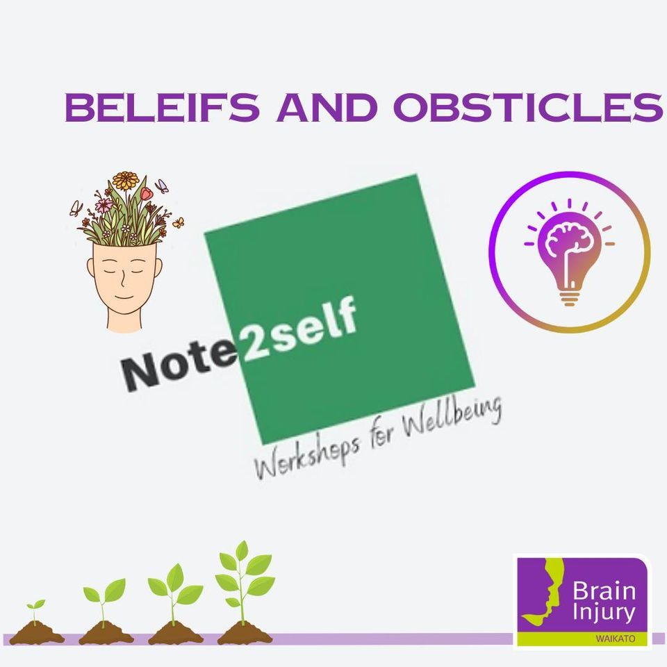 Beliefs and Obstacles workshop - Hamilton