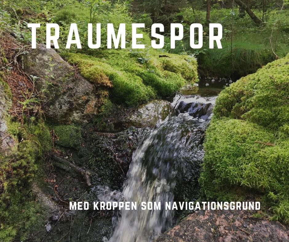 Traumespor 2 - fra september 2025 - K\u00f8benhavn