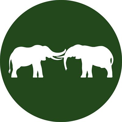 Save the Elephants