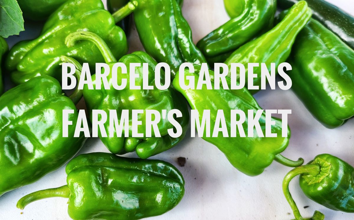 Barcelo Gardens Farmer's Market (9th Ward Garden Location)