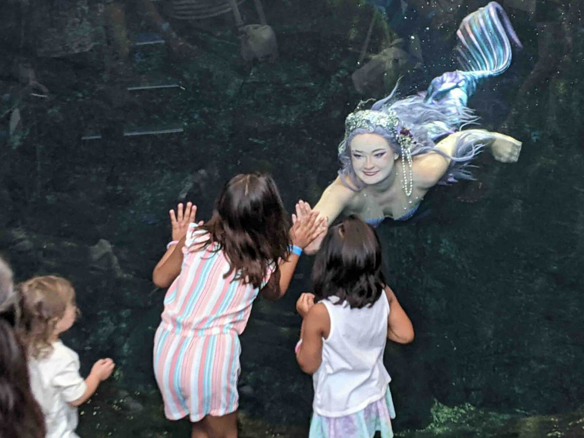 Mermaid Echo at Discovery World