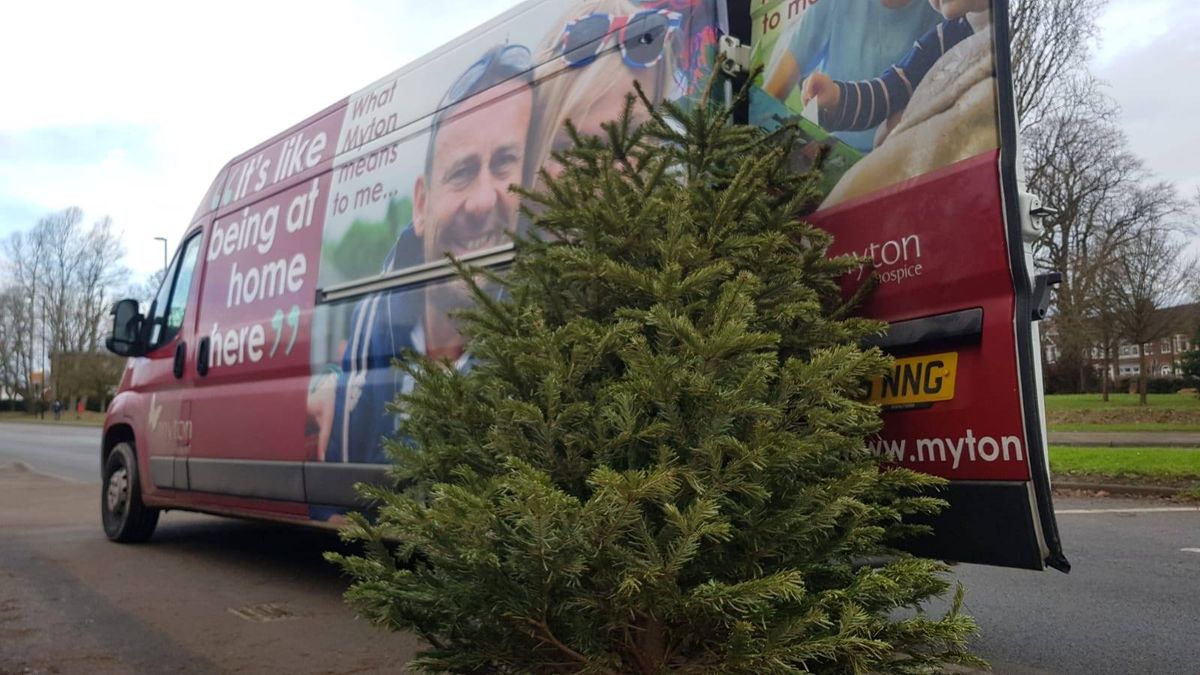 2025 Charity Christmas Tree Collection for Pass The Smile and The Myton Hospices