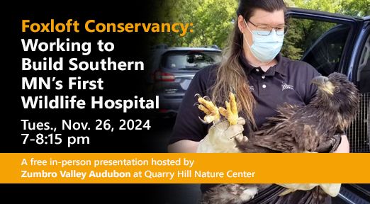 Foxloft Conservancy: Working to Build Southern Minnesota\u2019s First Wildlife Hospital