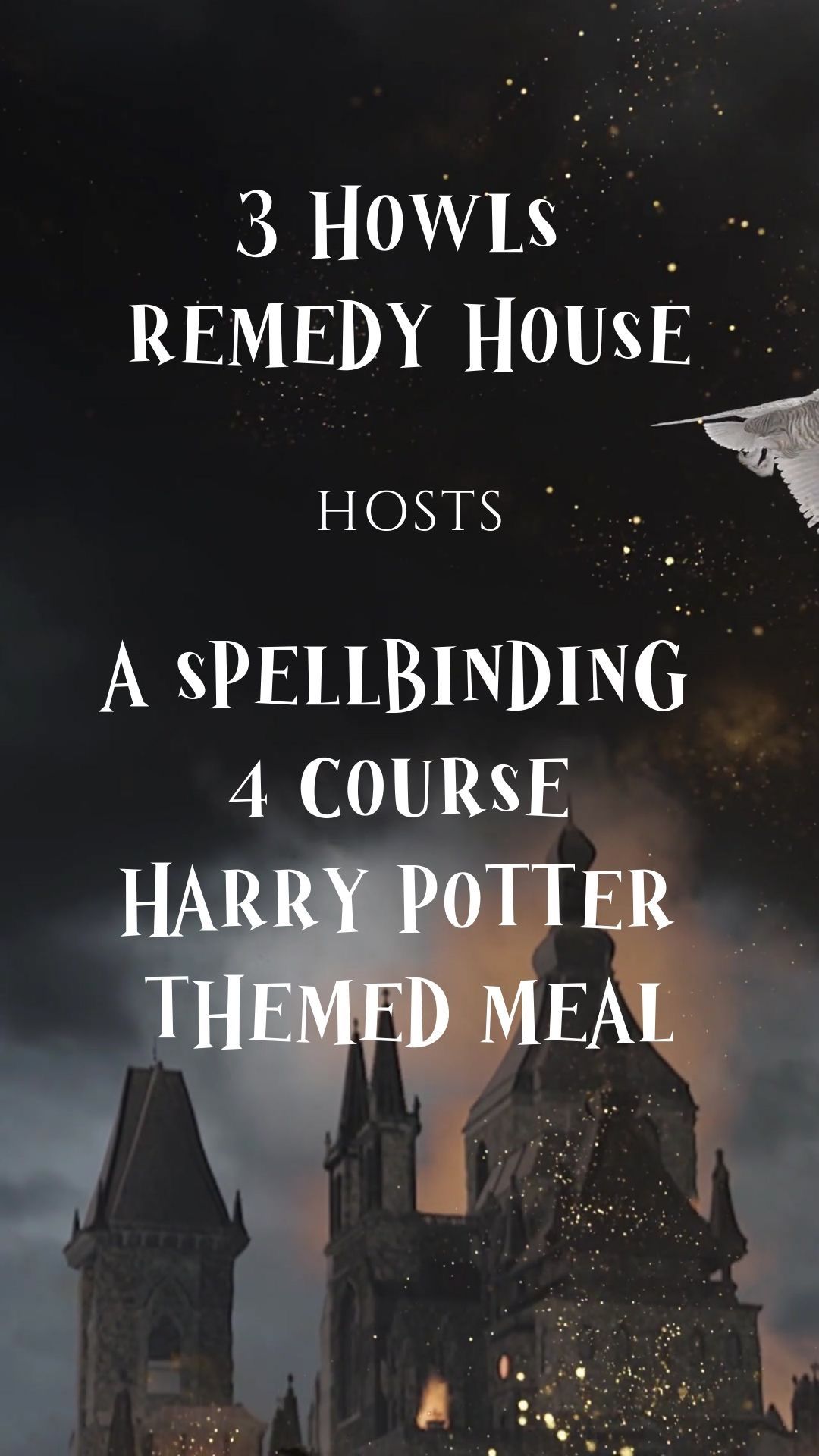 Harry Potter Themed Meal (Lunch & Dinner Seatings)