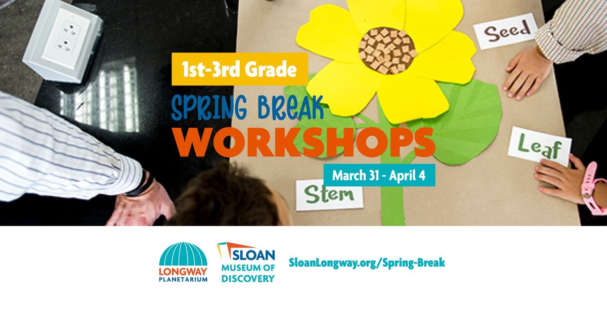 Spring Break Workshops | 1st - 3rd Grade