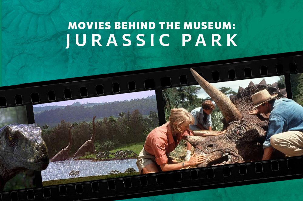 Movies Behind the Museum: Jurassic Park