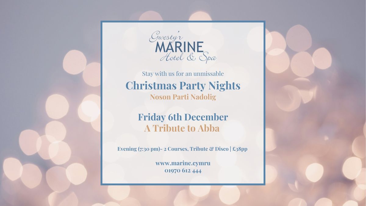 Christmas Party Night - A Tribute To Abba