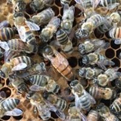 Granville County Beekeepers Association