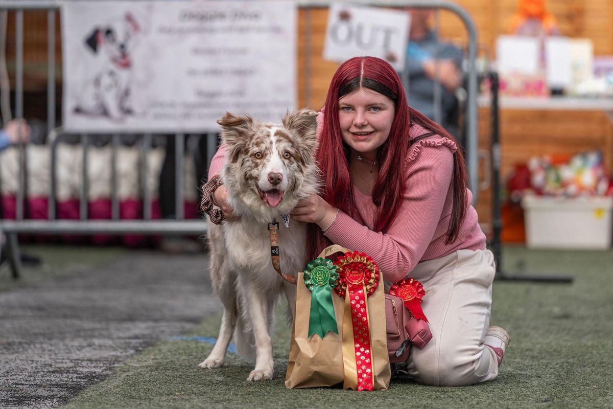 Winter Indoor Dog Show