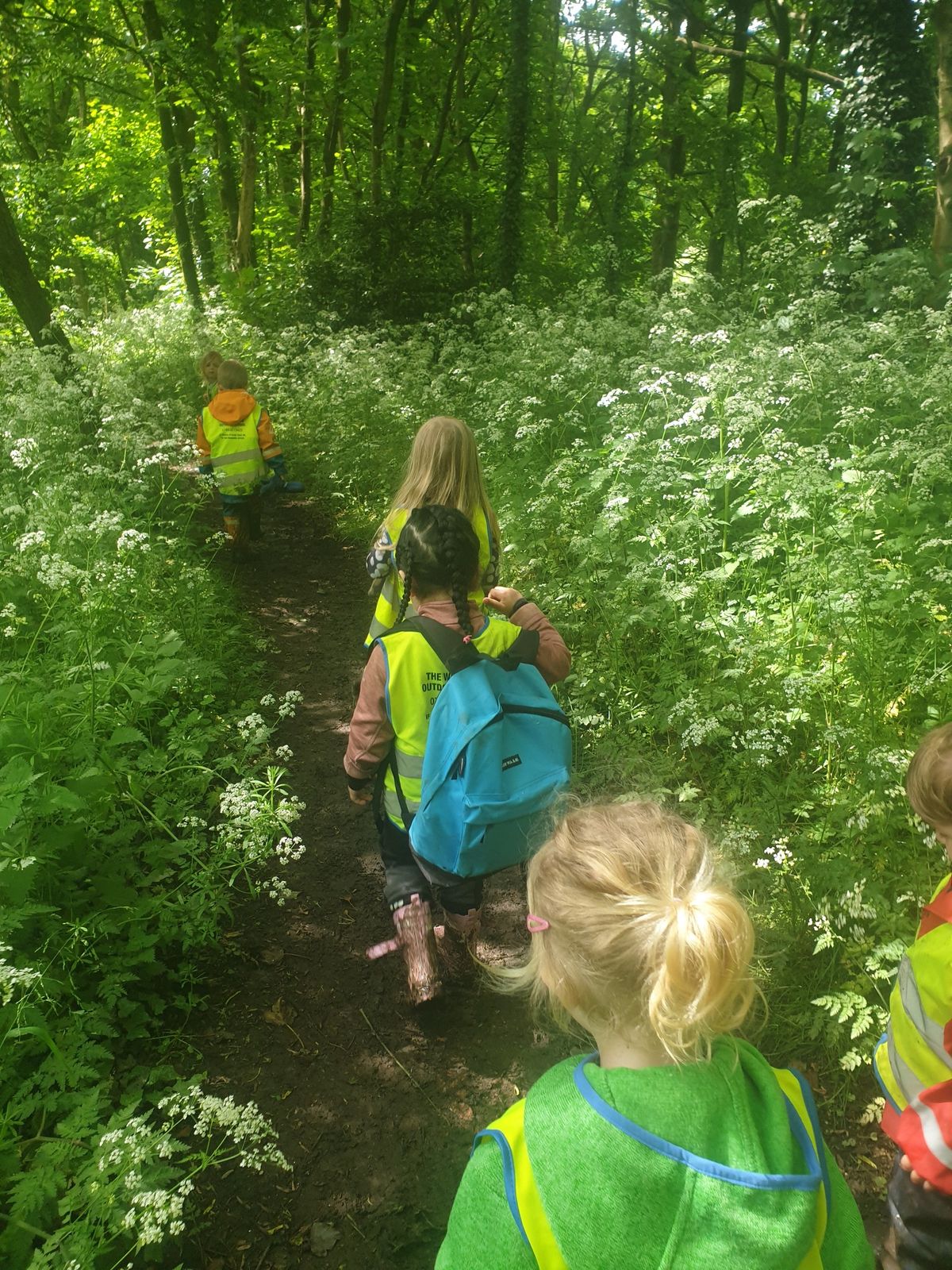 Family Forest Fun Day 