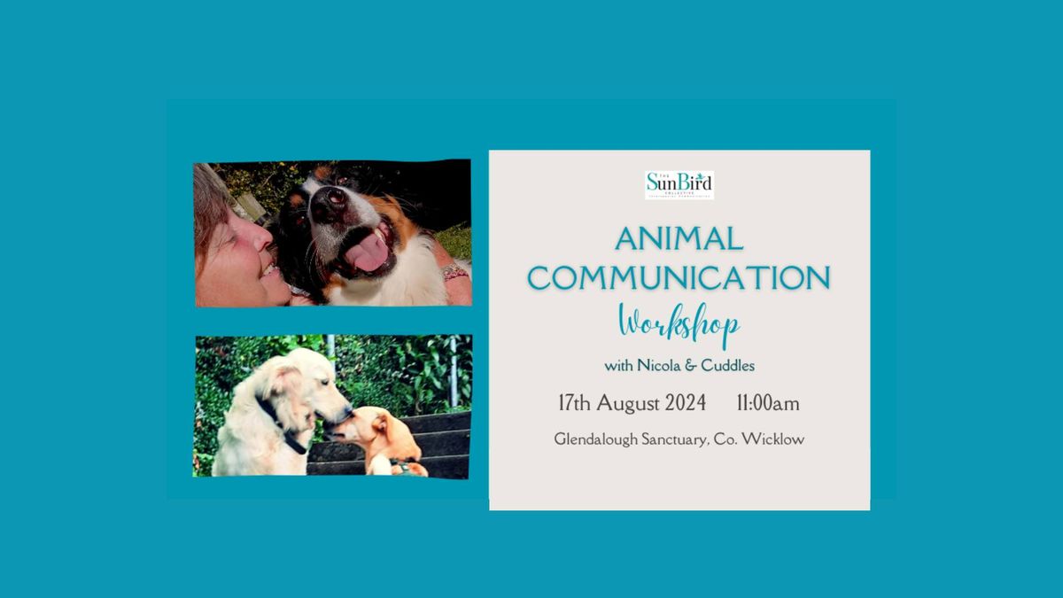 Animal Communication Workshop at Glendalough Sanctuary