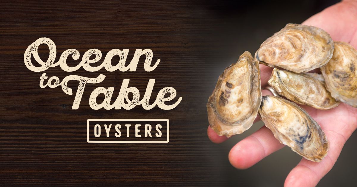 Ocean to Table: Oysters