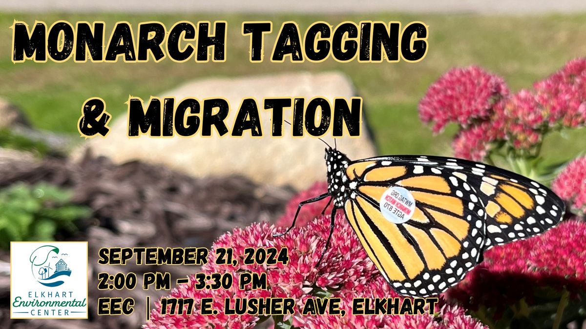 Monarch Tagging & Migration