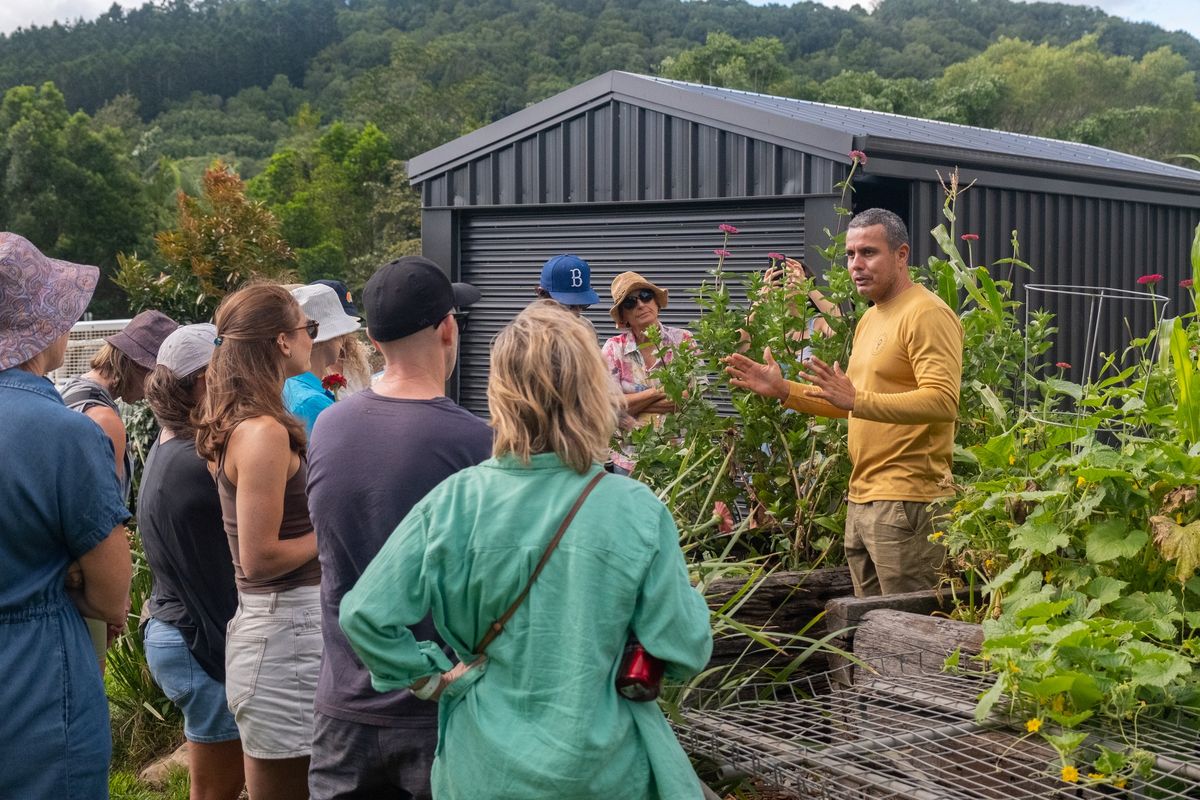 Learn to Grow Food at Home Workshop at Ground Currumbin