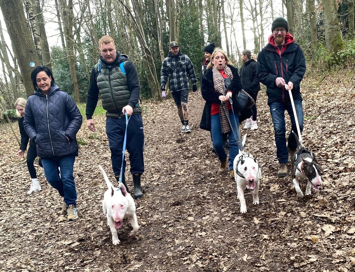 Hartshill Hayes - Midlands Bullie Walks