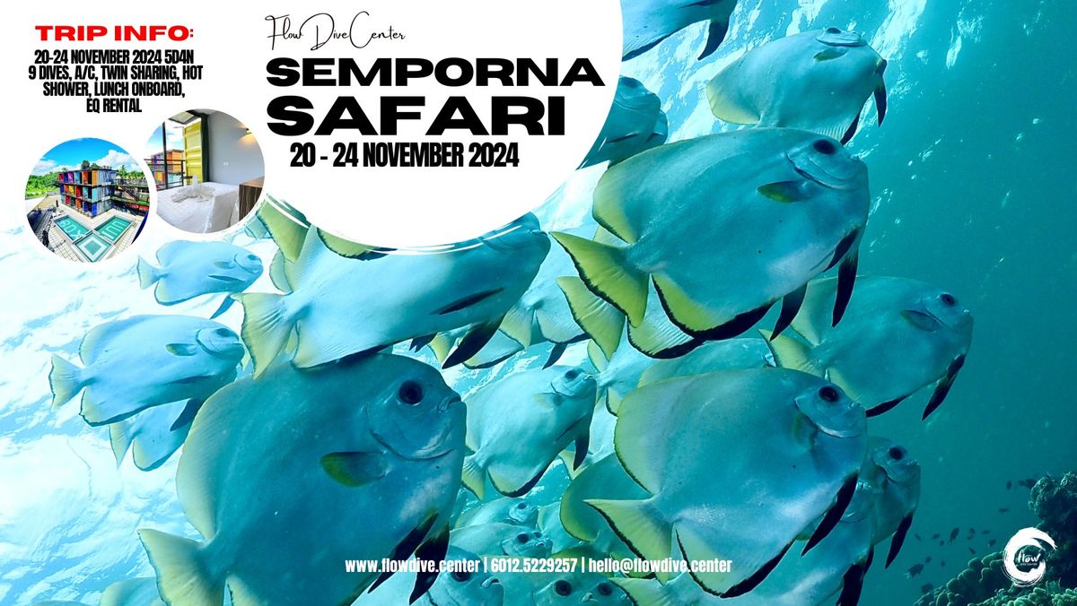 20-24 November 2024: Semporna Safari