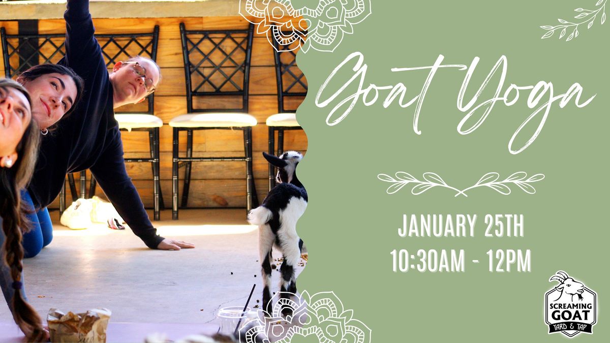 Screaming Goat Yoga! ??