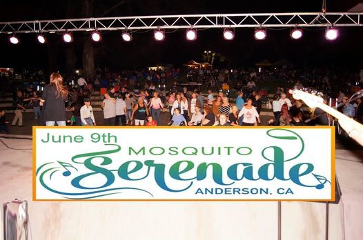 Mosquito Serenade