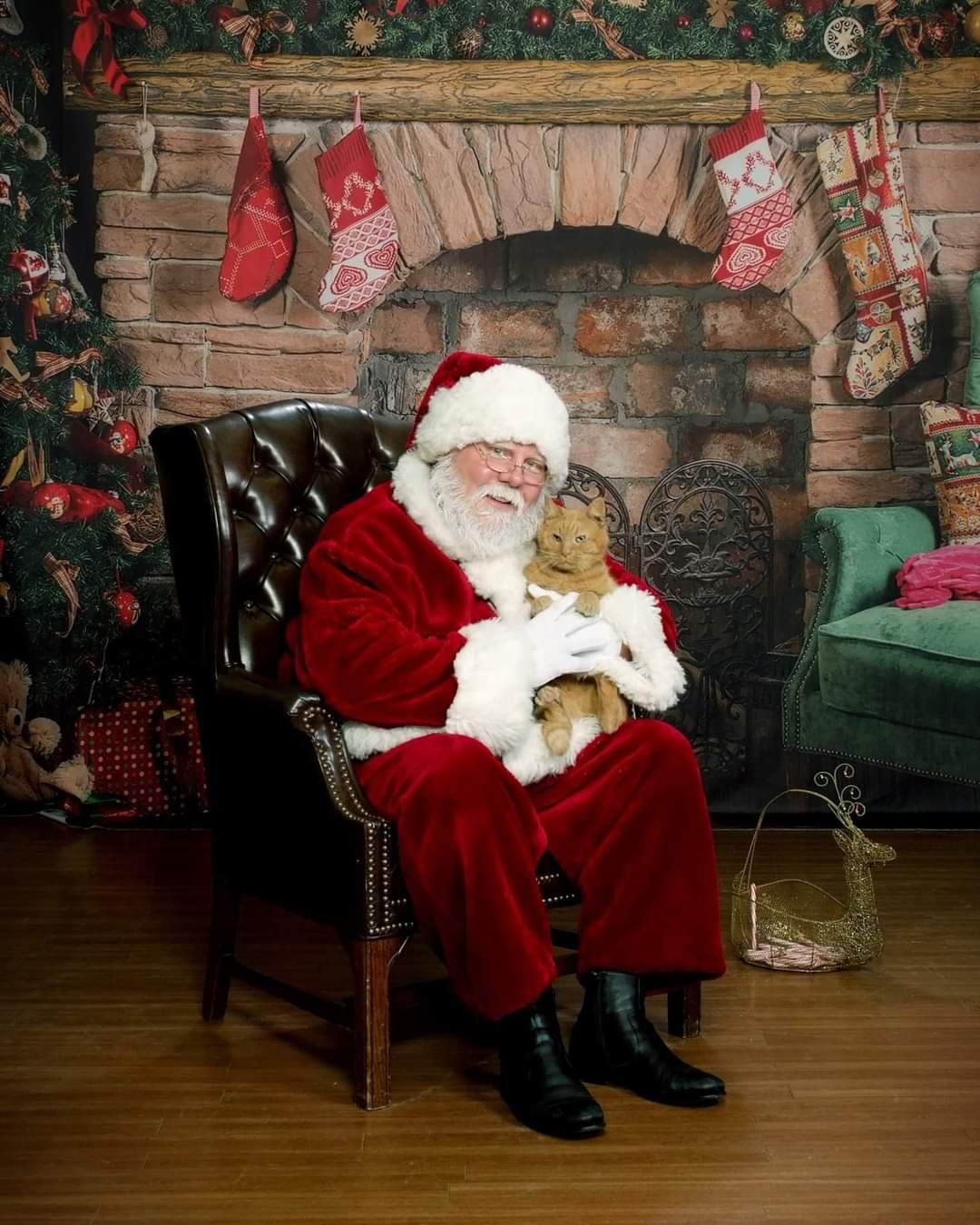 Yogie and Friends Christmas Bake Sale