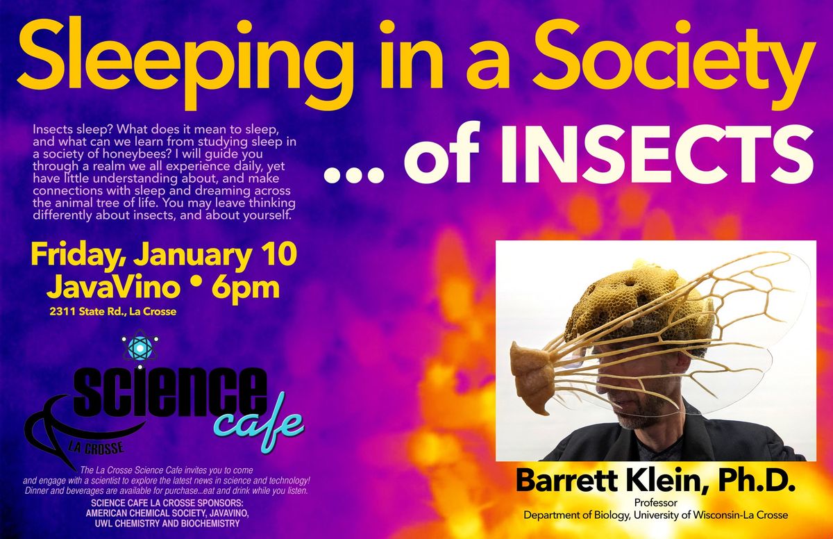 Sleeping in a Society...of Insects