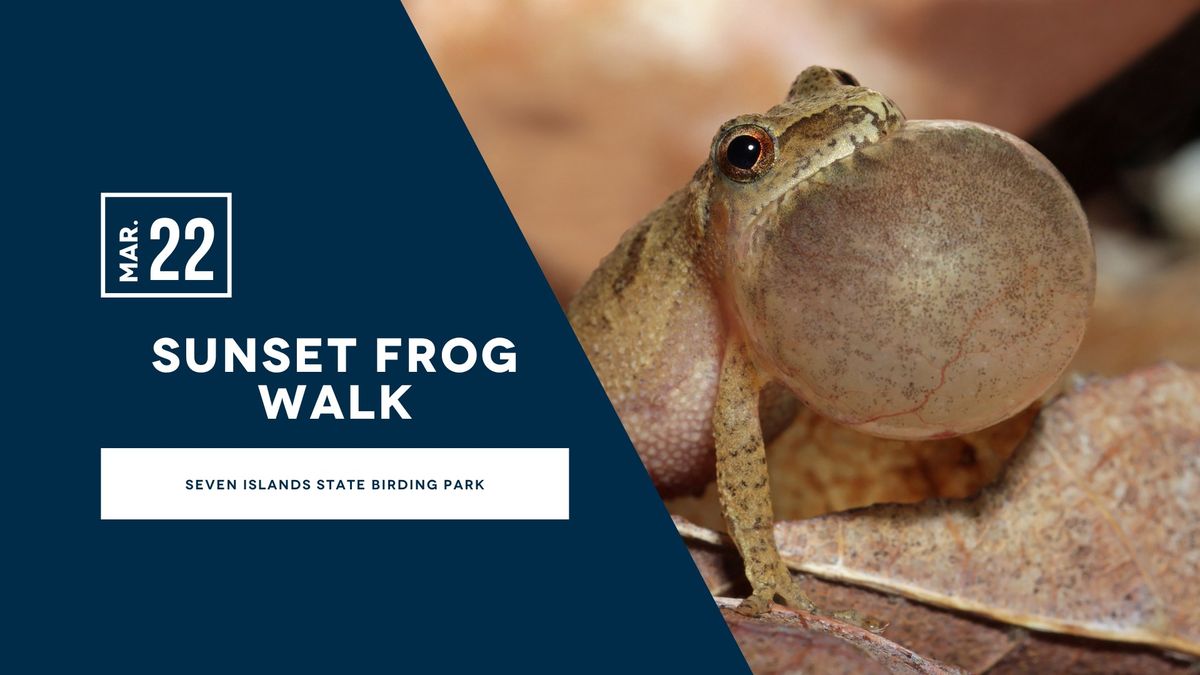 Sunset Frog Walk