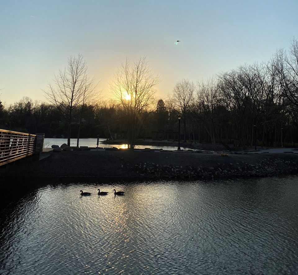 Garrett Ormiston Native Plants, 7 Berea Commons, Berea, OH 44017
