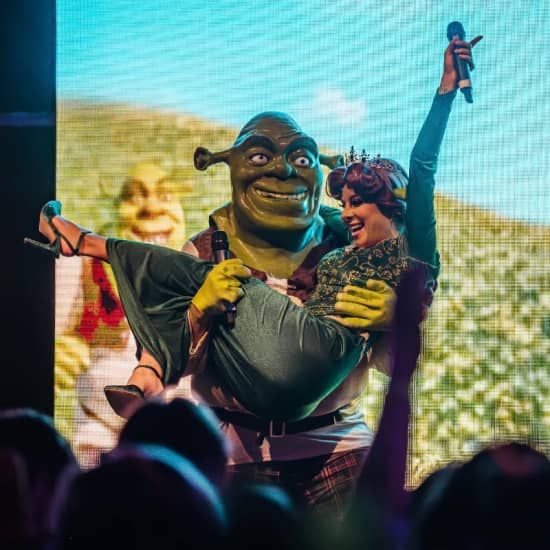 Shrek Rave in Cork