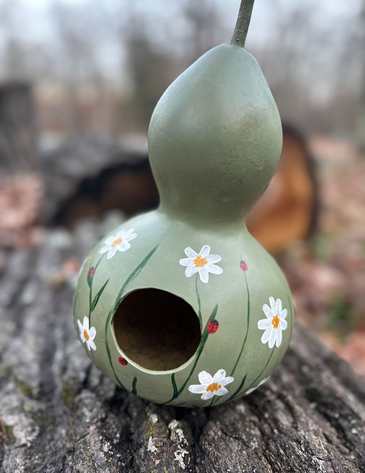 Birdhouse Gourds