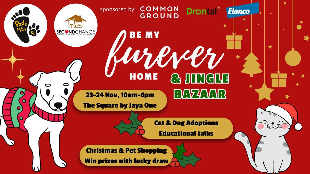 Be My Furever Home & Jingle Bazaar