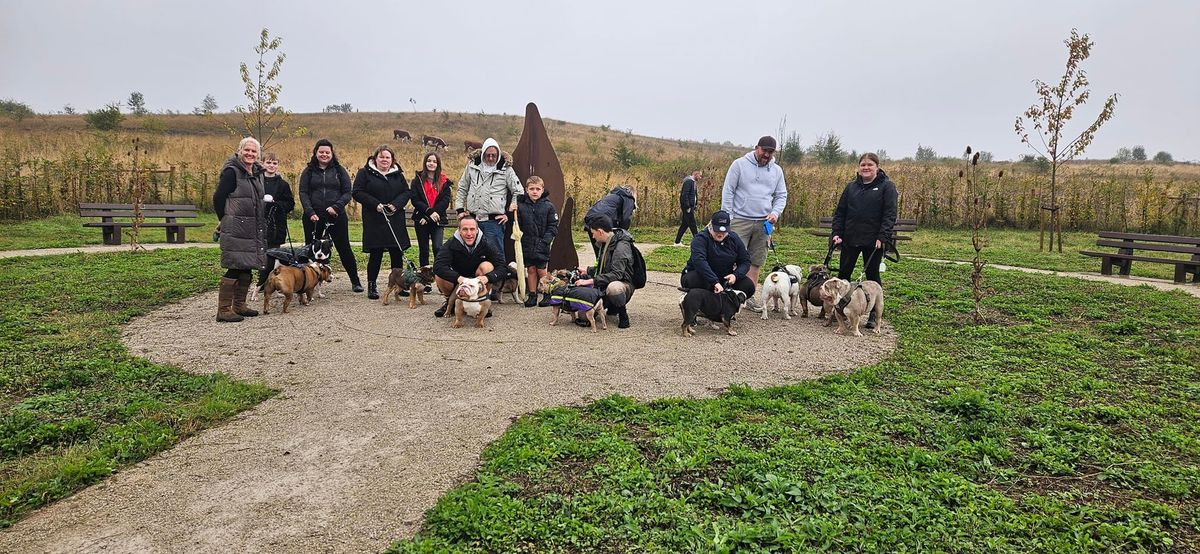 Midlands (Nottingham) Bulldog Walk for GBSR UK