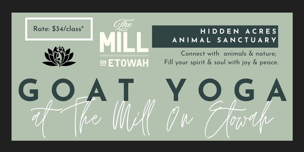 Goat Yoga at The Mill on Etowah