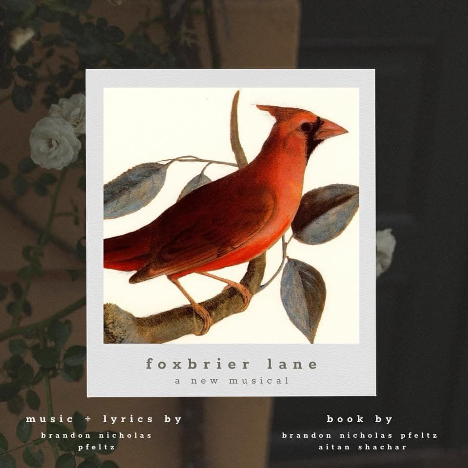 foxbrier lane \u2013 a new musical