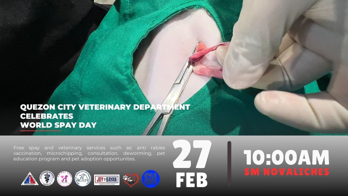 World Spay Day celebration by Quezon City Veterinary Department